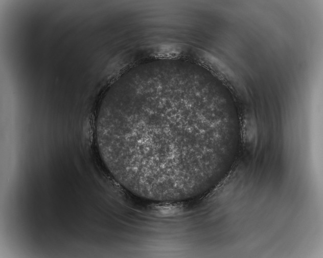 X0000096130370200802151318