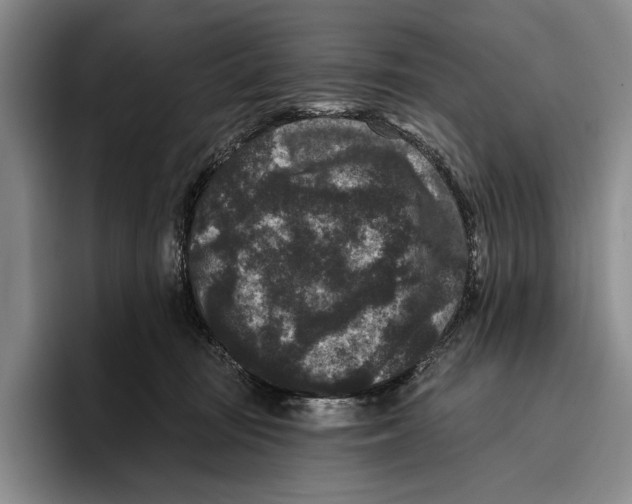 X0000096130371200802151318