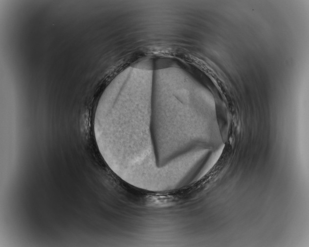 X0000096130372200802151318