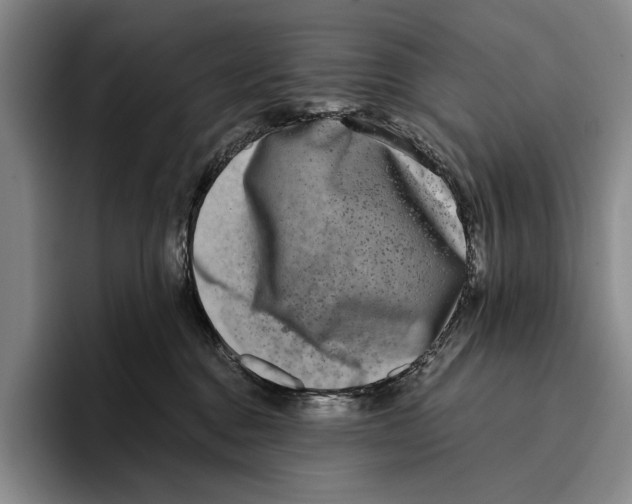 X0000096130376200802151318