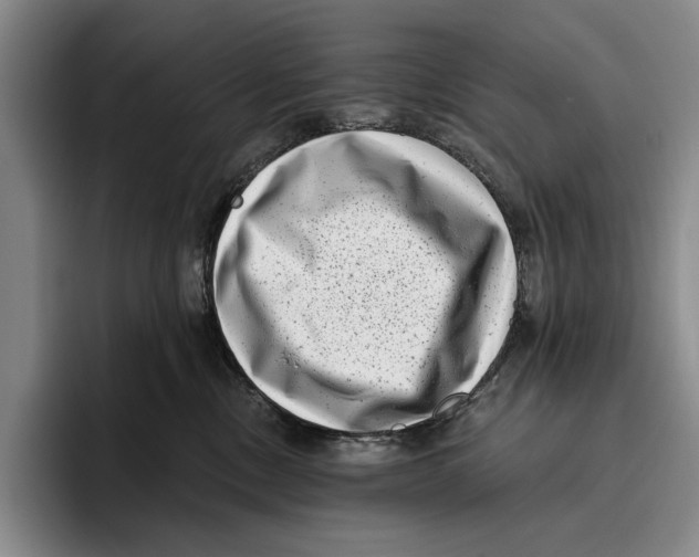 X0000096130378200802151319