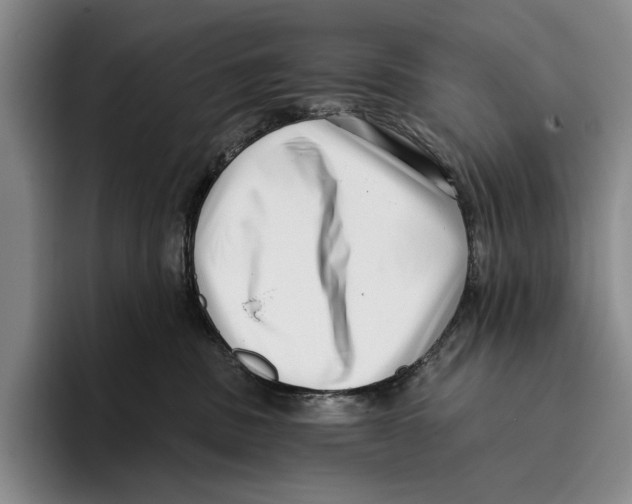 X0000096130379200802151319