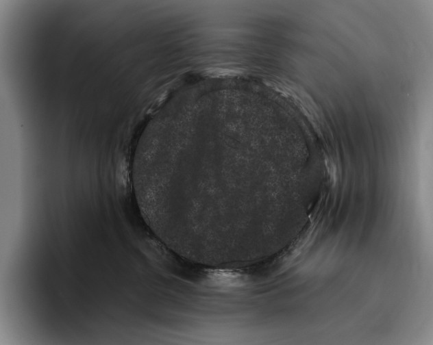 X0000096130380200802151319