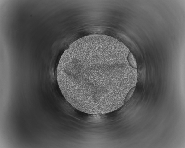 X0000096130381200802151319