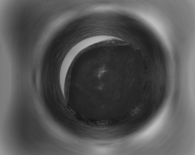 X0000096130382200802151319