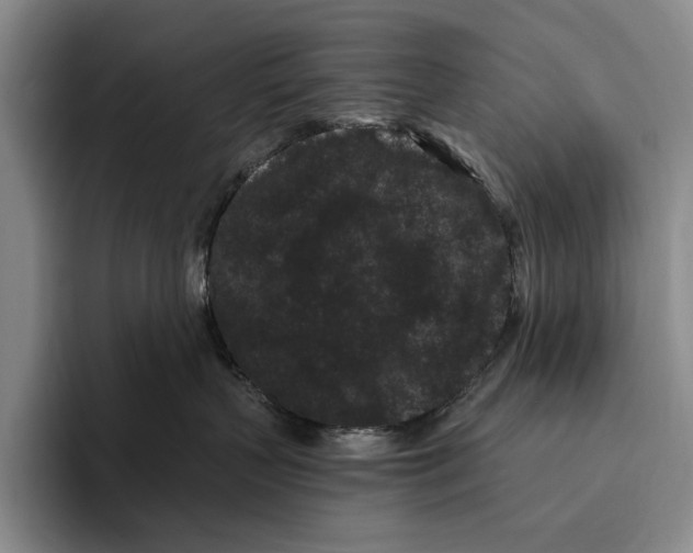 X0000096130383200802151319