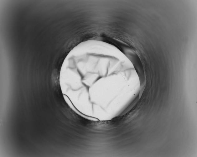 X0000096130384200802151319