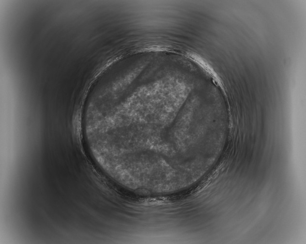 X0000096130386200802151318