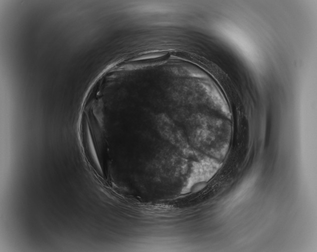 X0000096130387200802151318