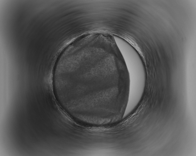 X0000096130389200802151318