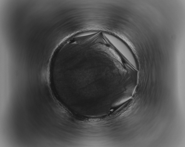 X0000096130391200802151318