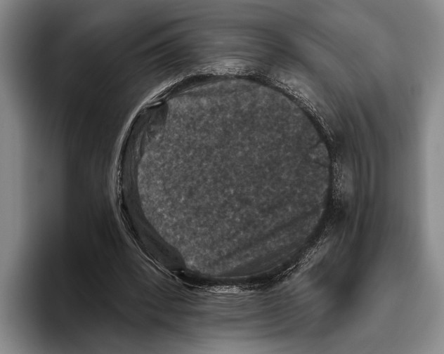 X0000096130392200802151318