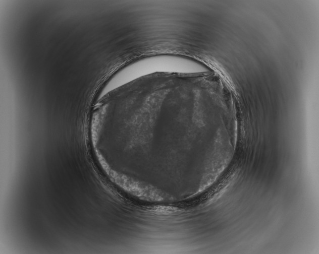 X0000096130393200802151318