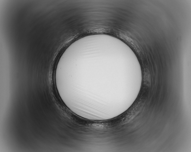 X0000096130394200802151318