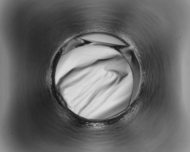 X0000096130395200802151318