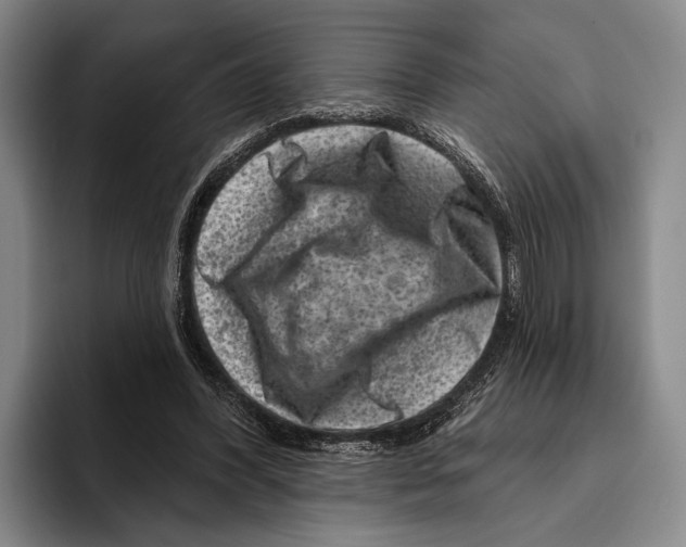 X0000096130396200802151318