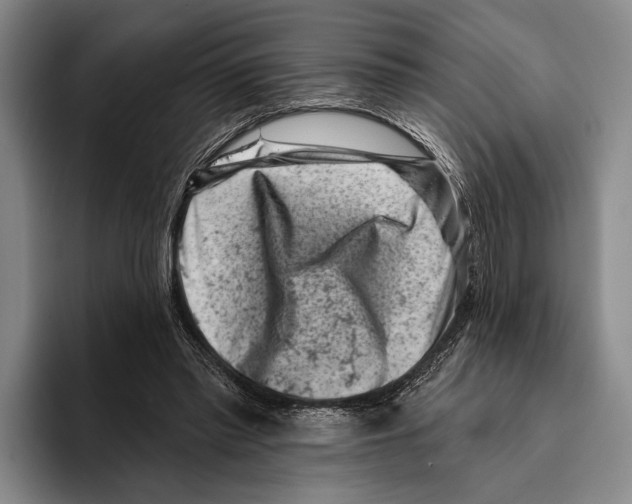 X0000096130397200802151318