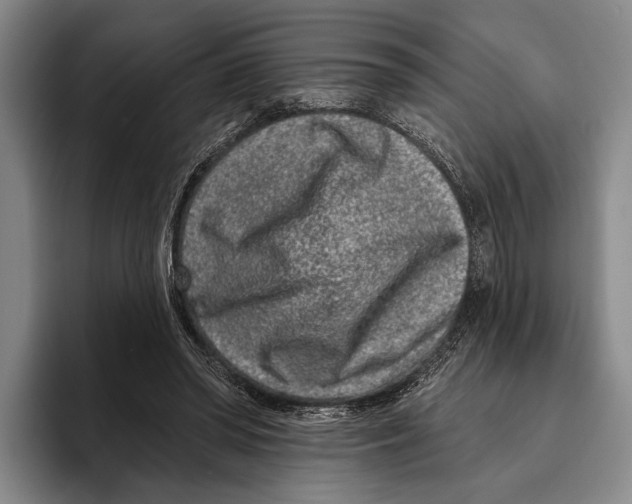 X0000096130398200802151318