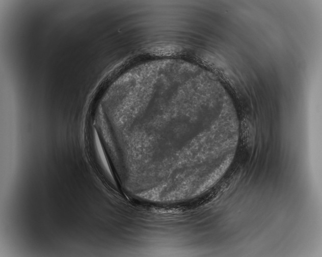 X0000096130400200802151318