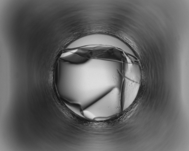 X0000096130401200802151318