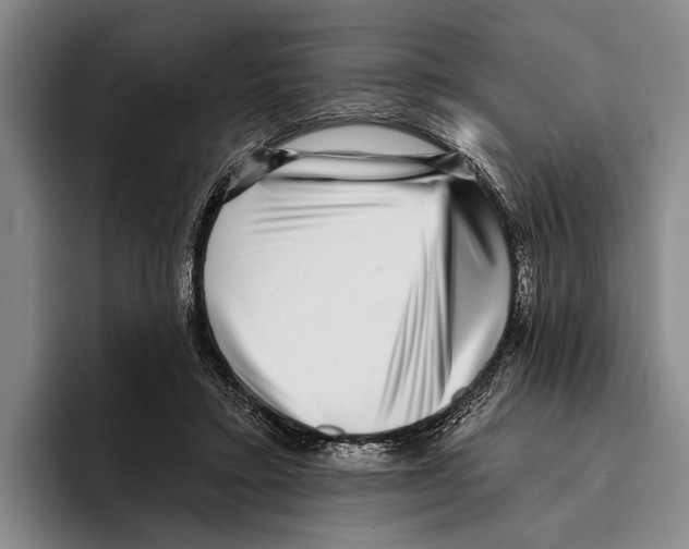 X0000096130403200802151318