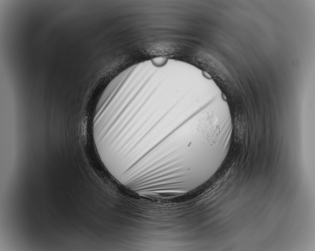 X0000096130404200802151318