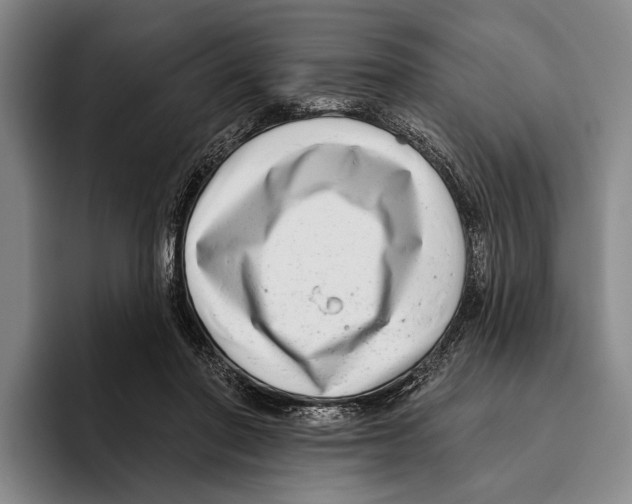 X0000096130406200802151318