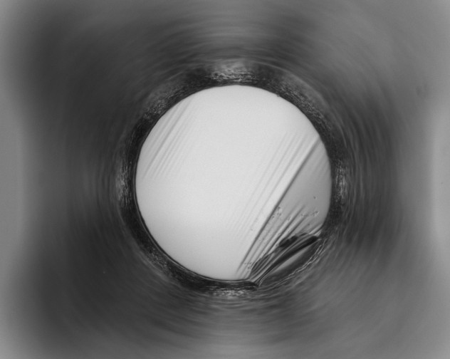 X0000096130408200802151318