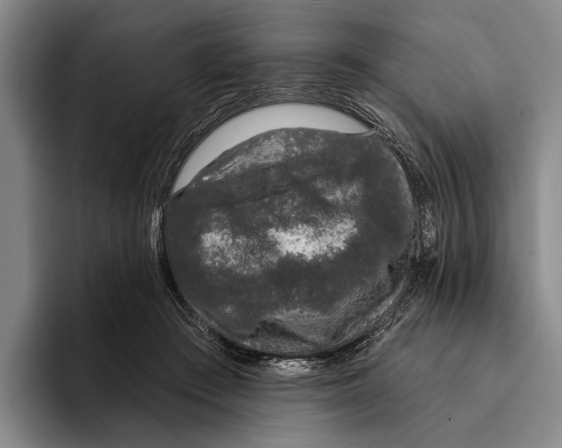 X0000096130409200802151318