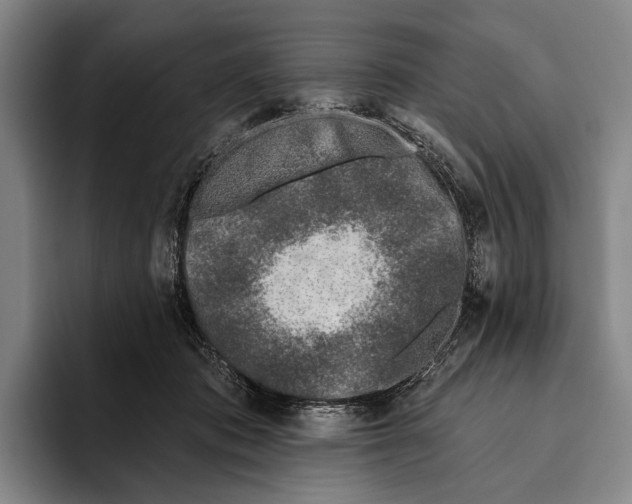 X0000096130413200802151318