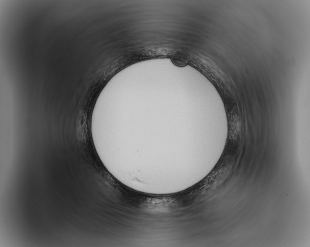 X0000096130414200802151318