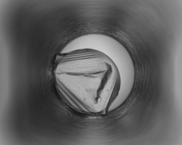 X0000096130415200802151318