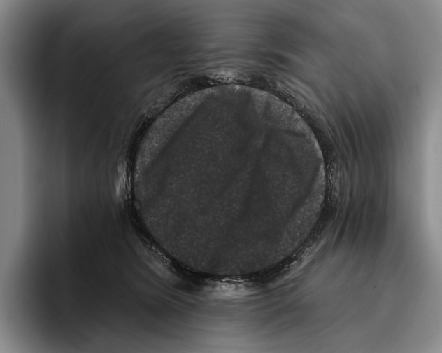 X0000096130420200802151318