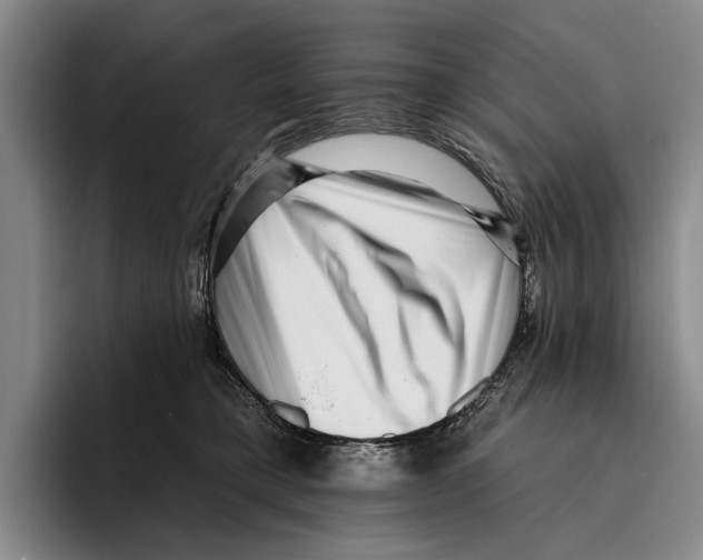 X0000096130421200802151318