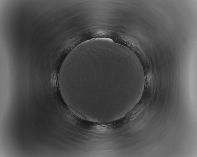 X0000096130423200802151317