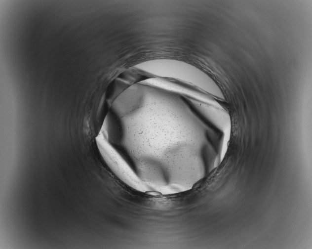 X0000096130425200802151317