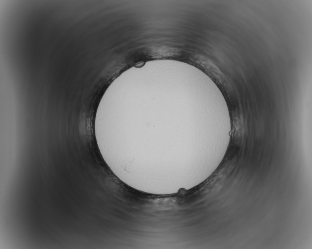 X0000096130426200802151317