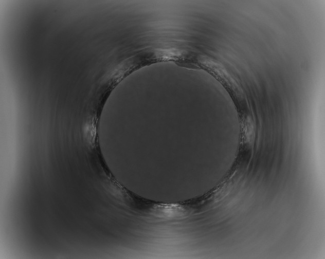 X0000096130427200802151317