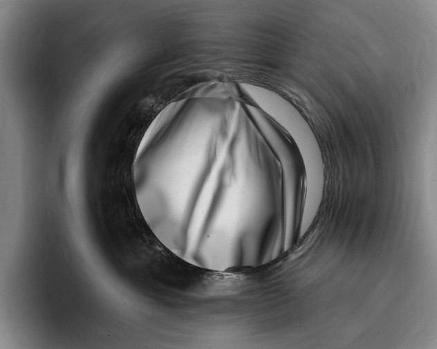 X0000096130429200802151317