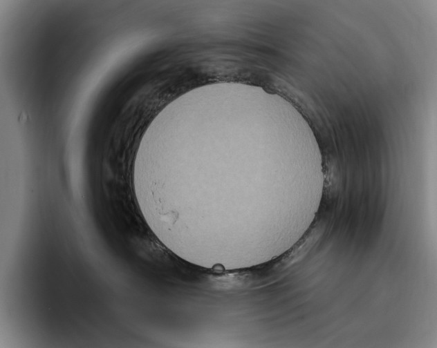 X0000096130430200802151317