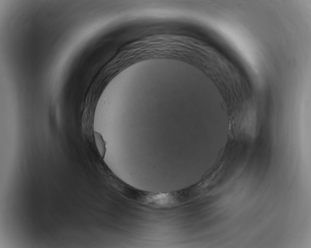 X0000096130431200802151317