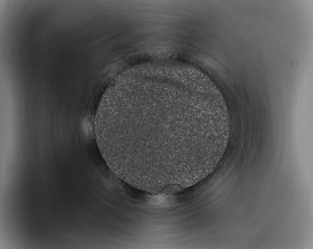 X0000096130432200802151317