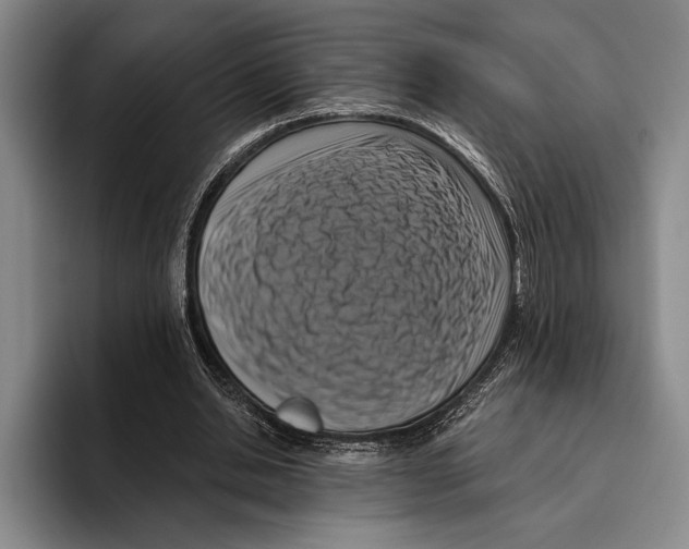 X0000096130438200802151317