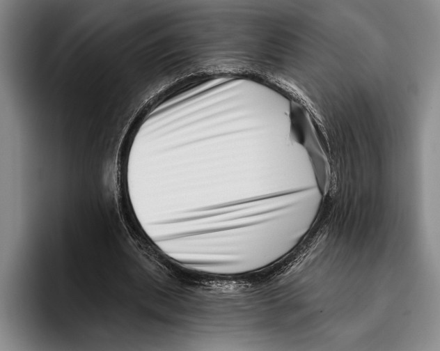 X0000096130439200802151317