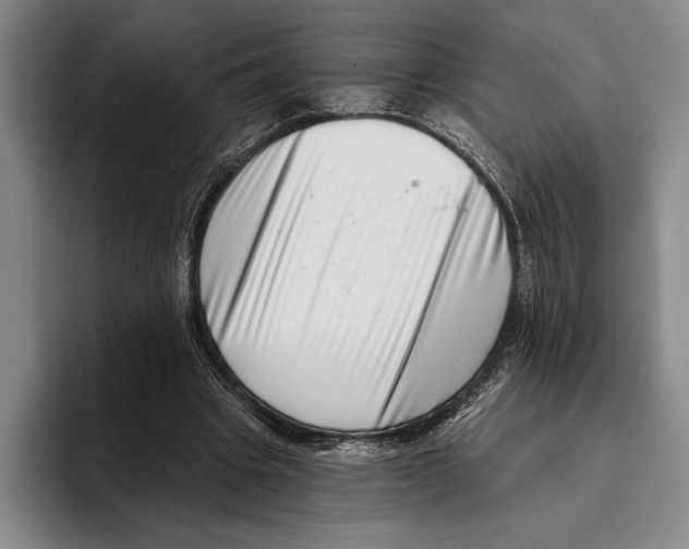 X0000096130441200802151317