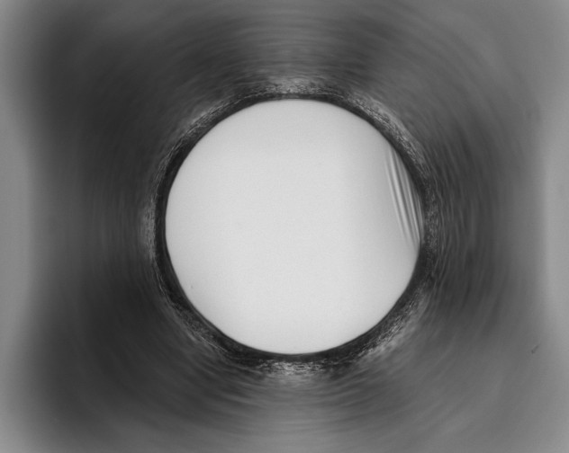 X0000096130442200802151317