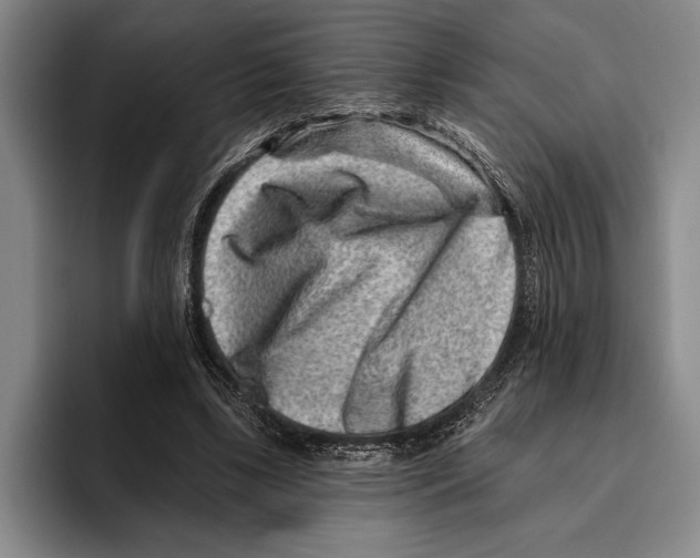 X0000096130443200802151317