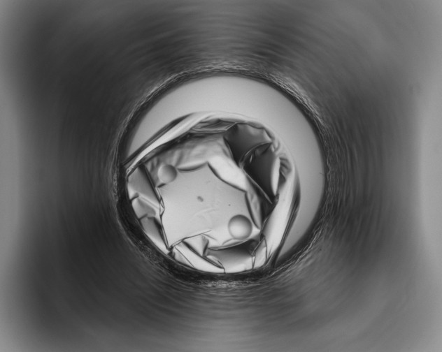 X0000096130444200802151317