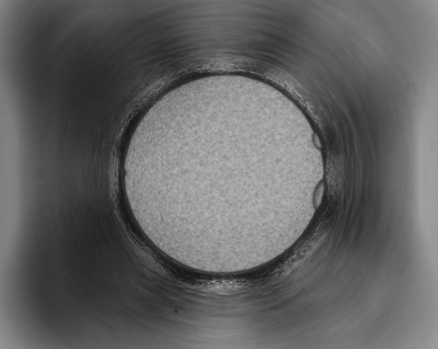 X0000096130445200802151317