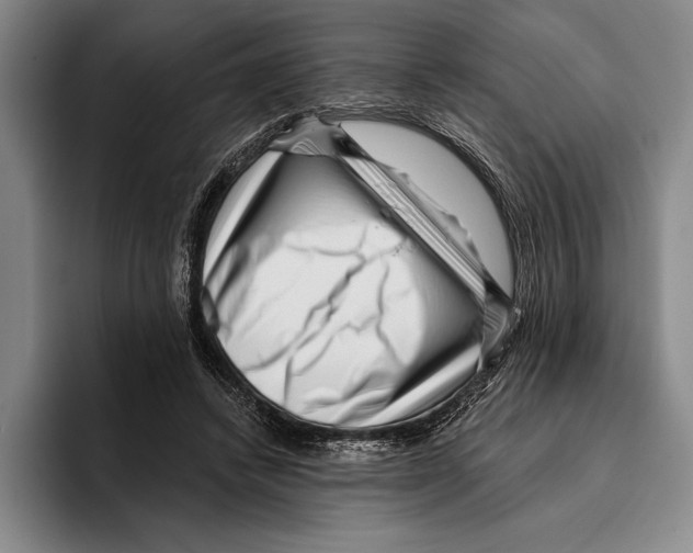 X0000096130448200802151317